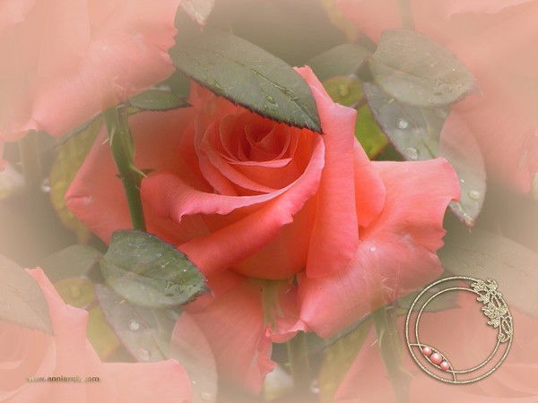 Надежда Слободчикова