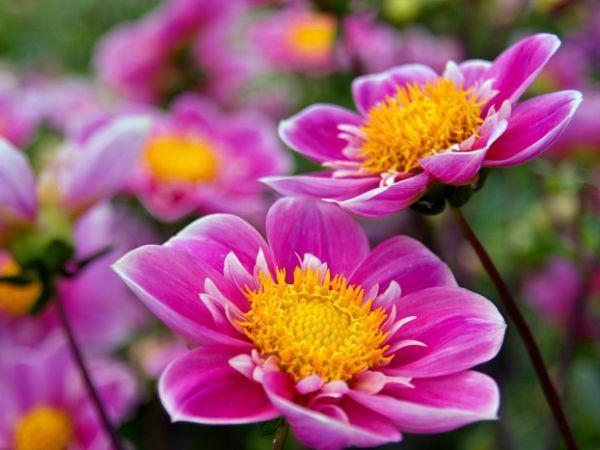 Админ Админ