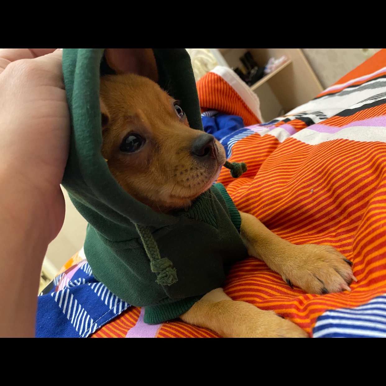 Мавиле Меннанова