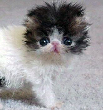 Татьяна ******