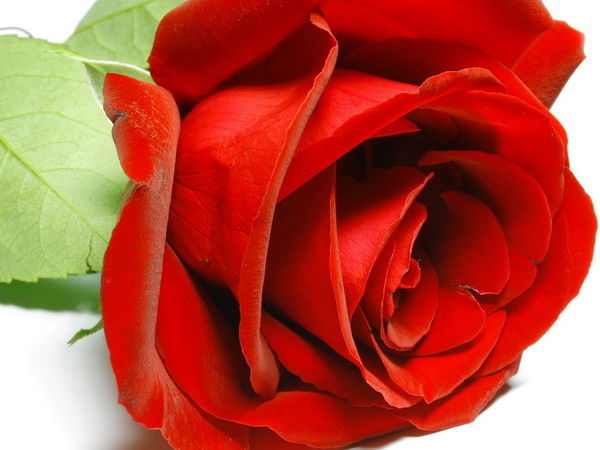 Сва Абильдинова