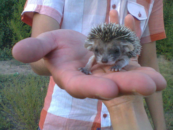 Арнур Изатов