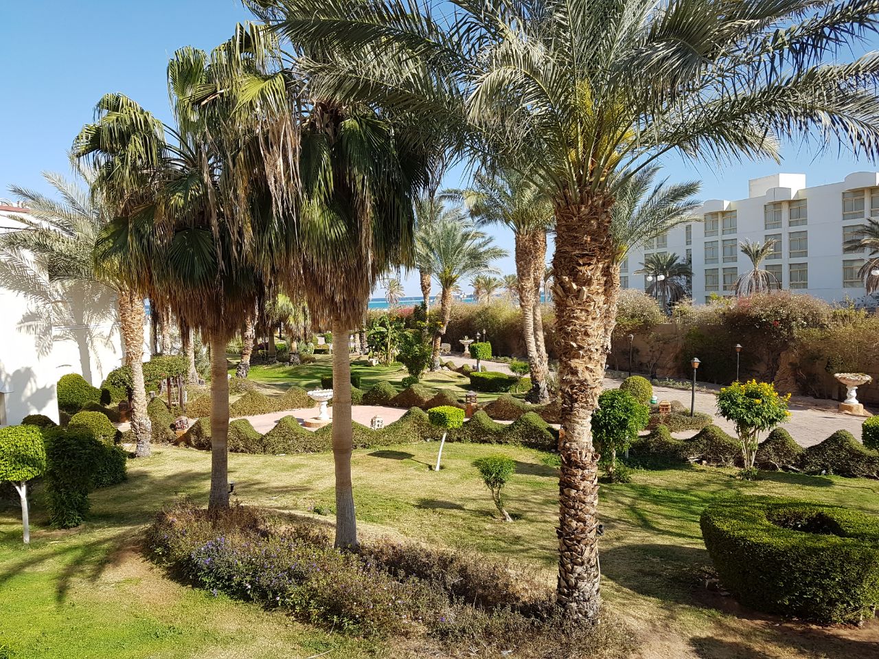 Алина Киселёва