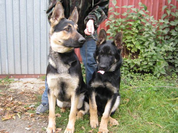 Наталья Овчинникова