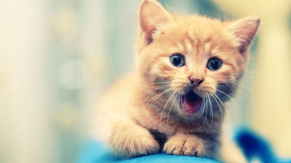 Станислав Гажан