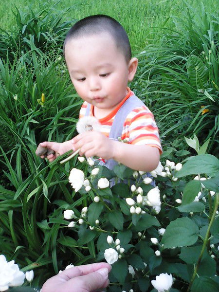 Зулайка Батырова