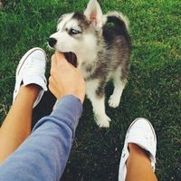 Ирина Кручинина