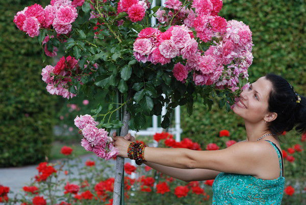 Катеринка Трубачева