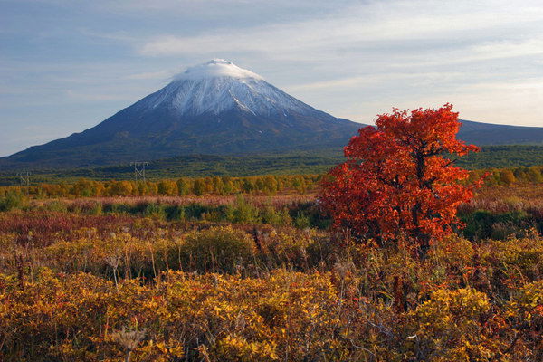 Андрей Коньков