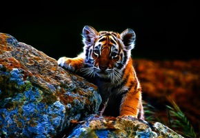 Светлана Зубова