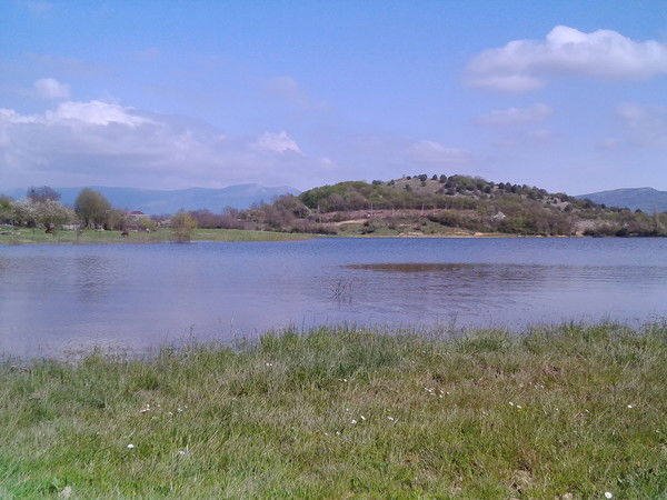 Анжела Швардакова