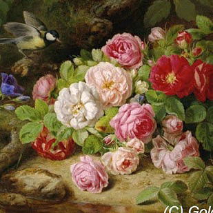 Елена Мастакова