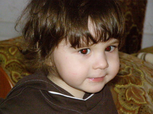 Елена Вольхина