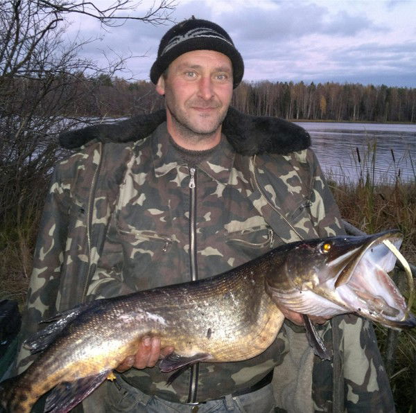 Вячеслав Старостин