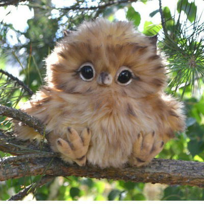 Данил Гайсин