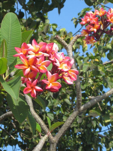 Марина Щигрева