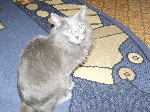 Ирина Арсентьева