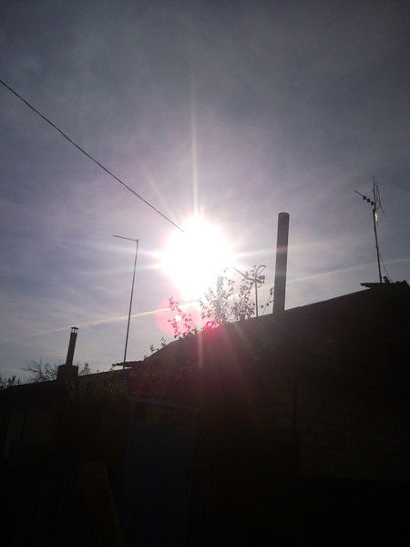 Дима Сергеев