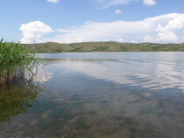 Ирина Щетинина