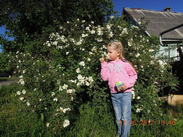 Татьяна Алексеева