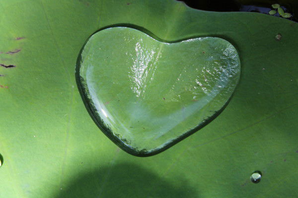 Александр Боровиков