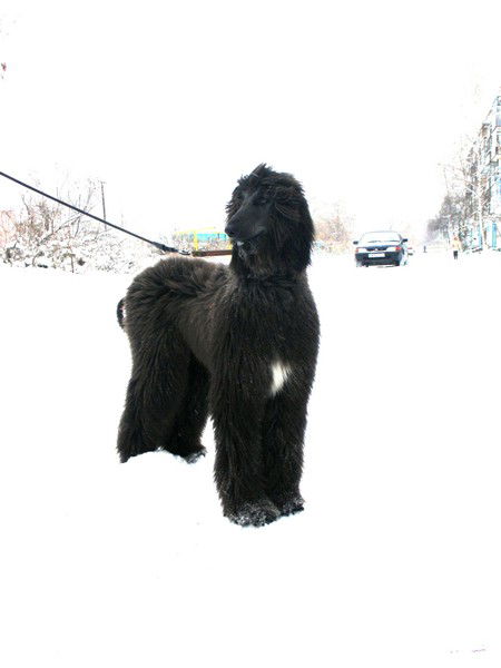 Геннадий Абрамов