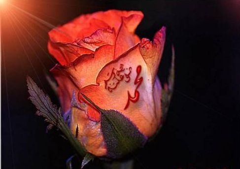 Фатмира ******ева