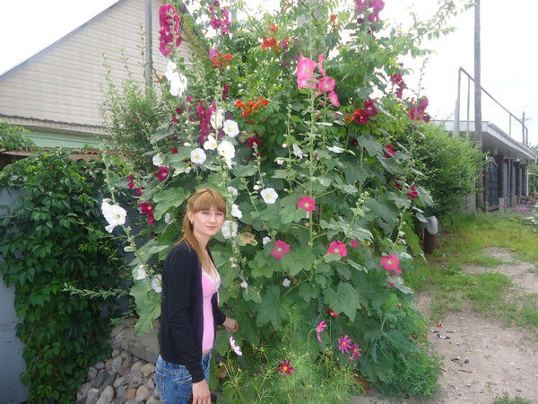 Ольга Чигринь