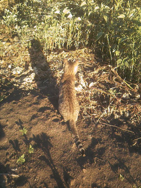 Николай Ивин