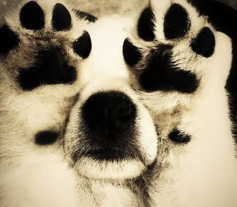 Арина Епишкина