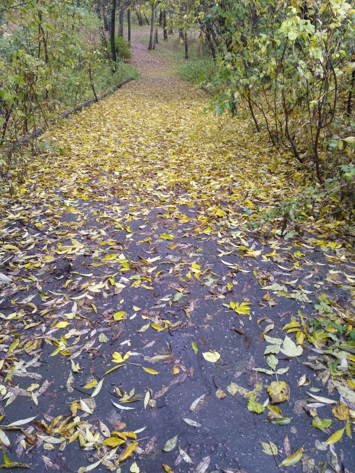 Людмила Петрикеева