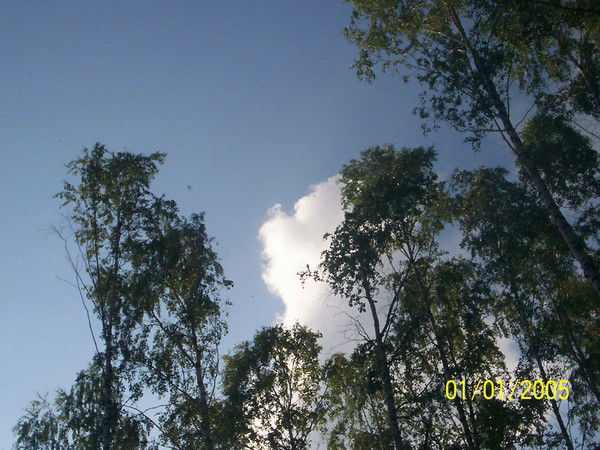 Ольга Завьялова