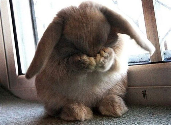 Алексей **********