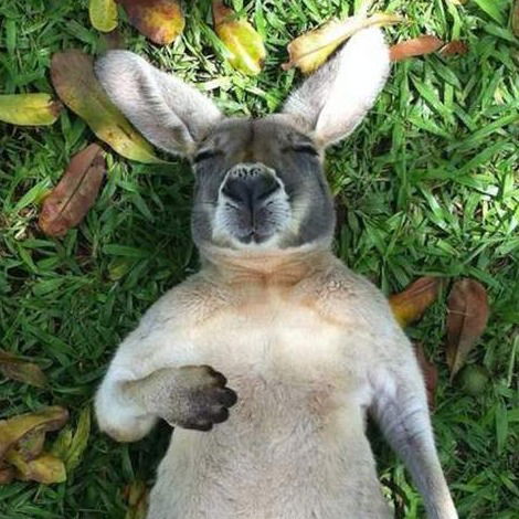 Игорь Лапко