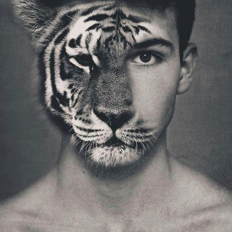 Александр Синкевич