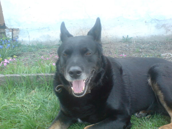 Алексей Гуков