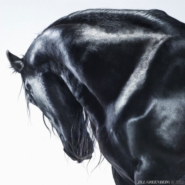 Светлана Новоселова