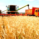 Арка-Саулет Бурабай