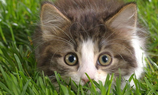 Мавлюда Садыкова