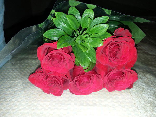 :::el'mira Osmonbaeva:::