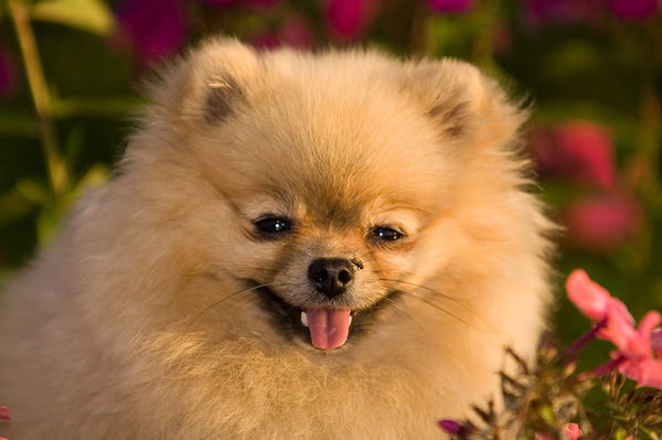 Валерий Смирнов