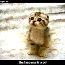 Виктория Вышенская