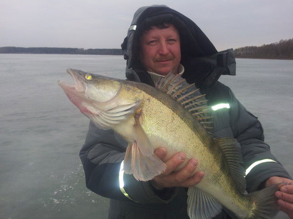 Александр Безгласный