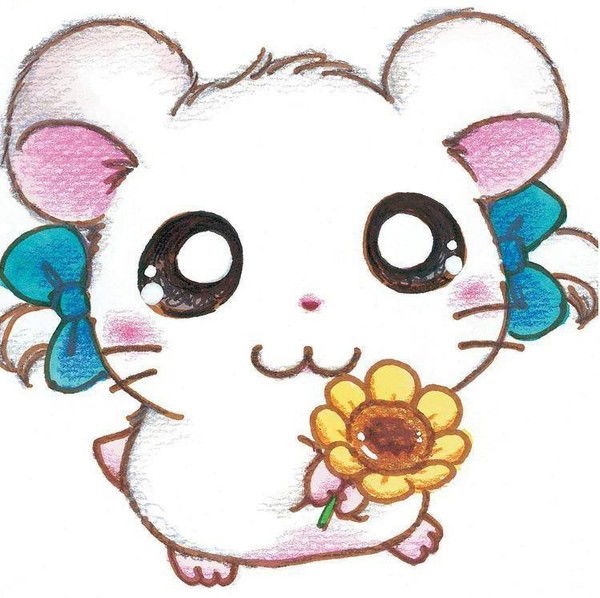 Настя Варава