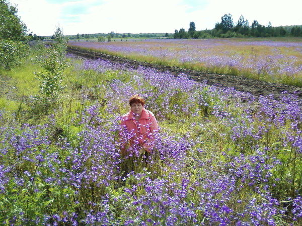 Ирина Солдатова