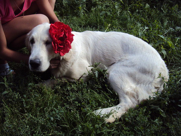 Ксюша Тимерханова