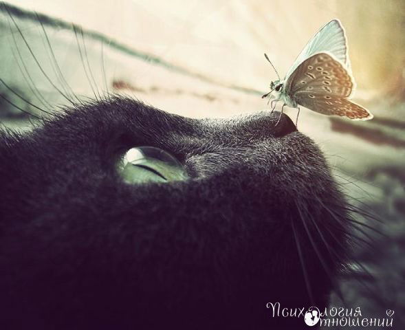 Маруся Маринина