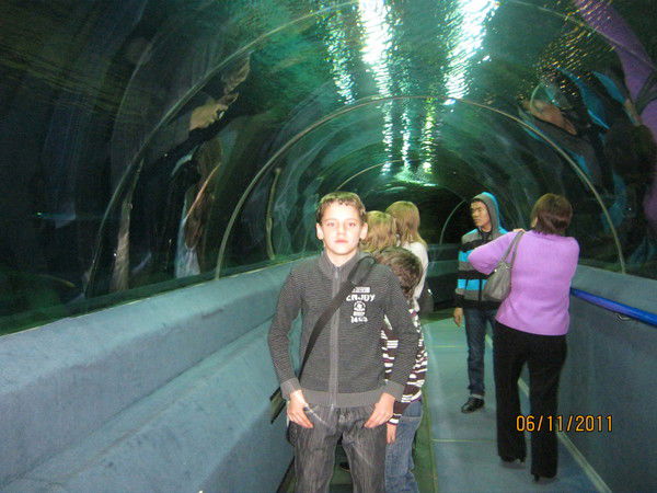 Артем Хасин