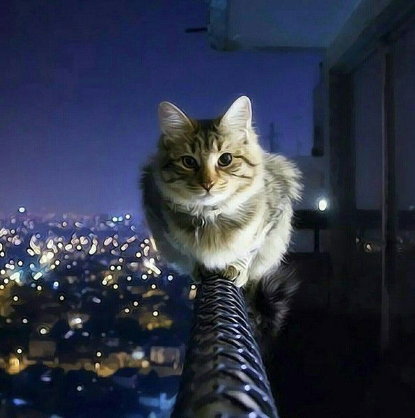 Гузеля Бектемирова