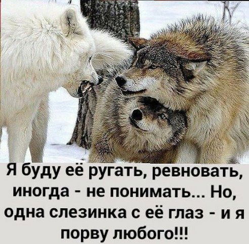 Владислав Интересна